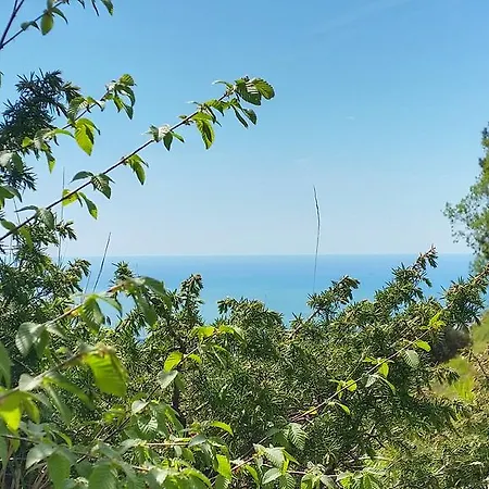 ゲストハウス Rifugio Citta Di Massa *